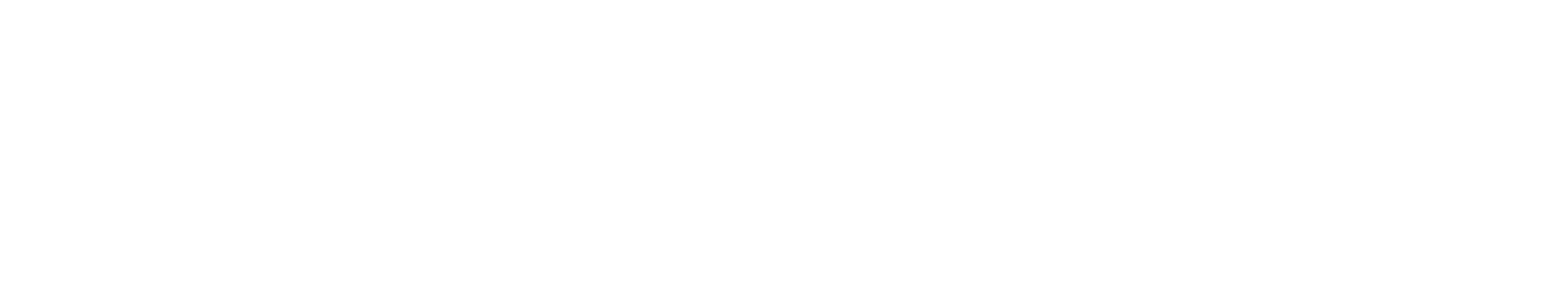 white-cerego-logo