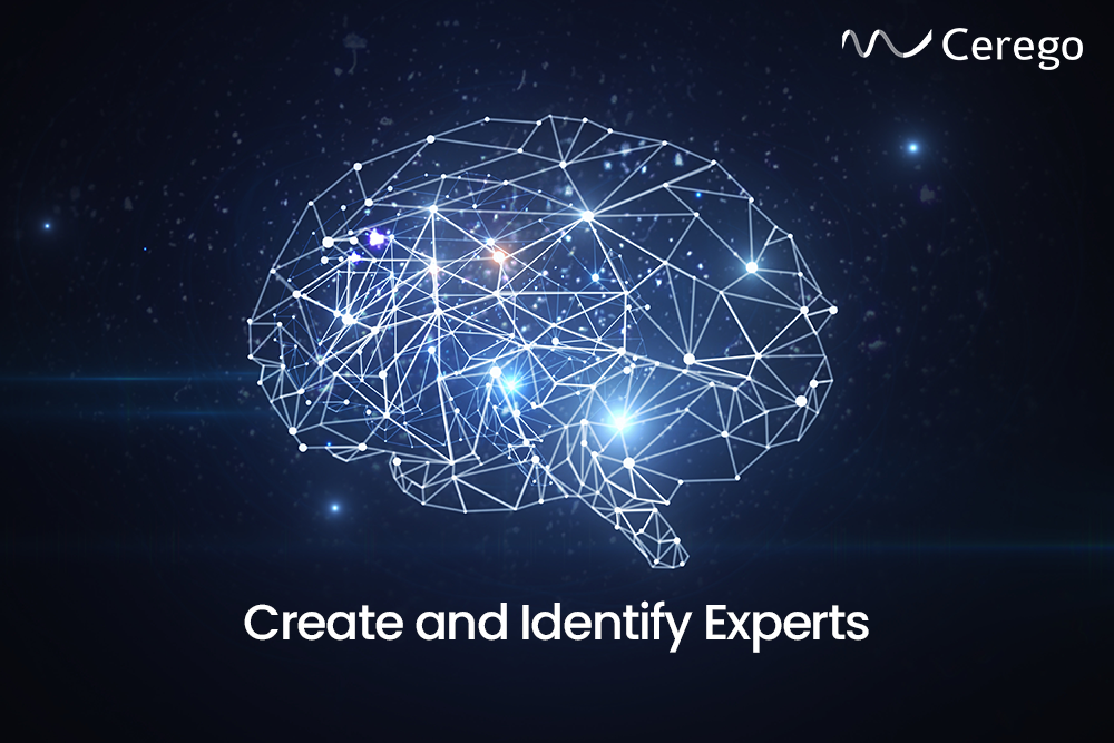 Cerego: Create and Identify Experts